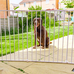 Callowesse Multi-Gate Playpen Room Divider