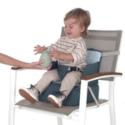 Jane Travel Booster Seat with Storage image 1