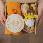 Baby Teething Toys Teether Gift Set image 1