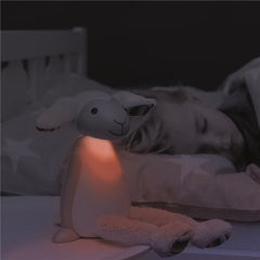 ZAZU Fin the Sheep Reading & Night Light Toy