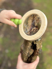 Forest Trail Kit Toy image 7