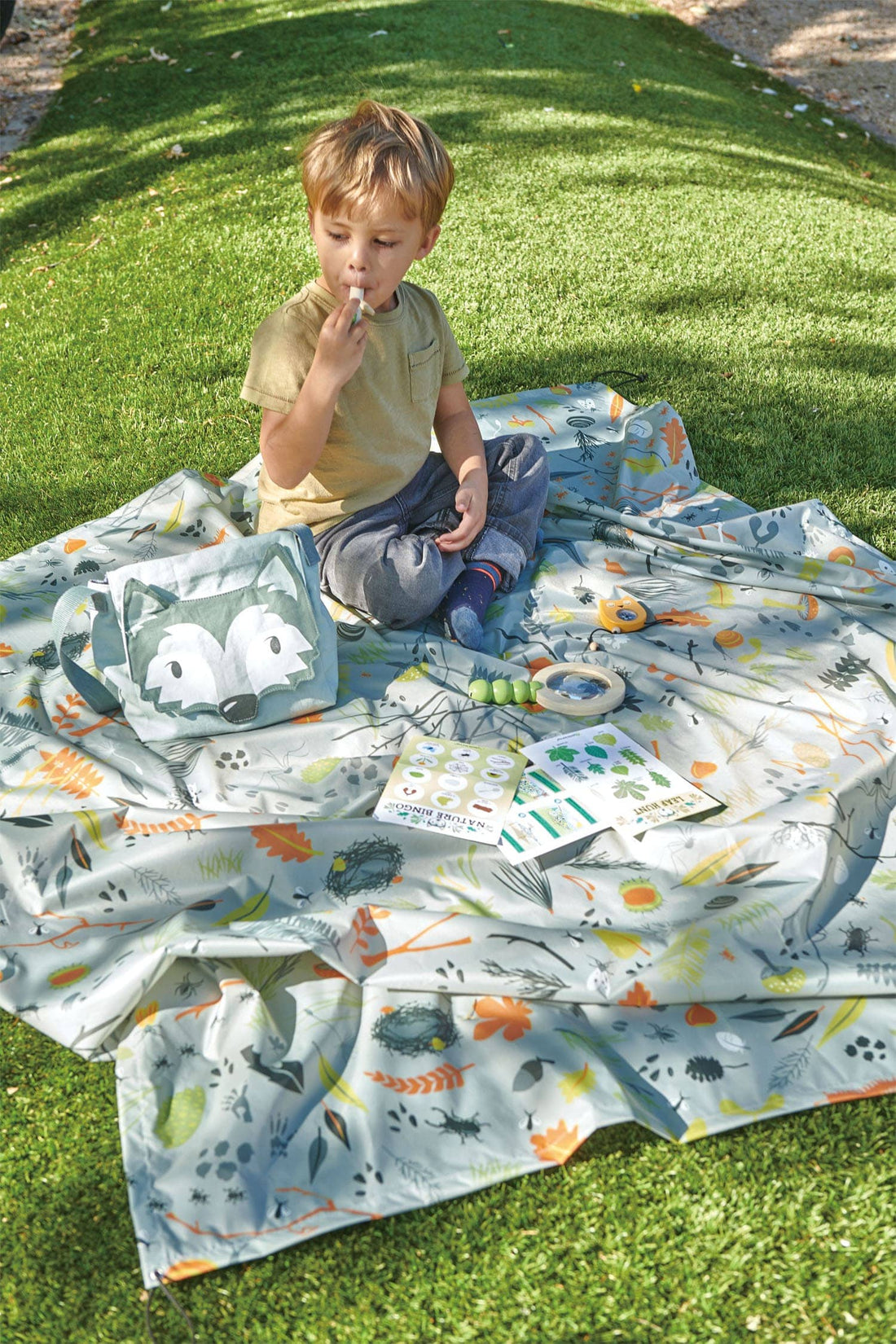 Forest Trail Kit Toy