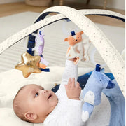 Skip Hop Celestial Dreams Activity Playmat image 5