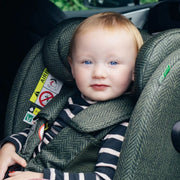Cosatto All in All Extra i-Size 360 Car Seat - Camille image 22